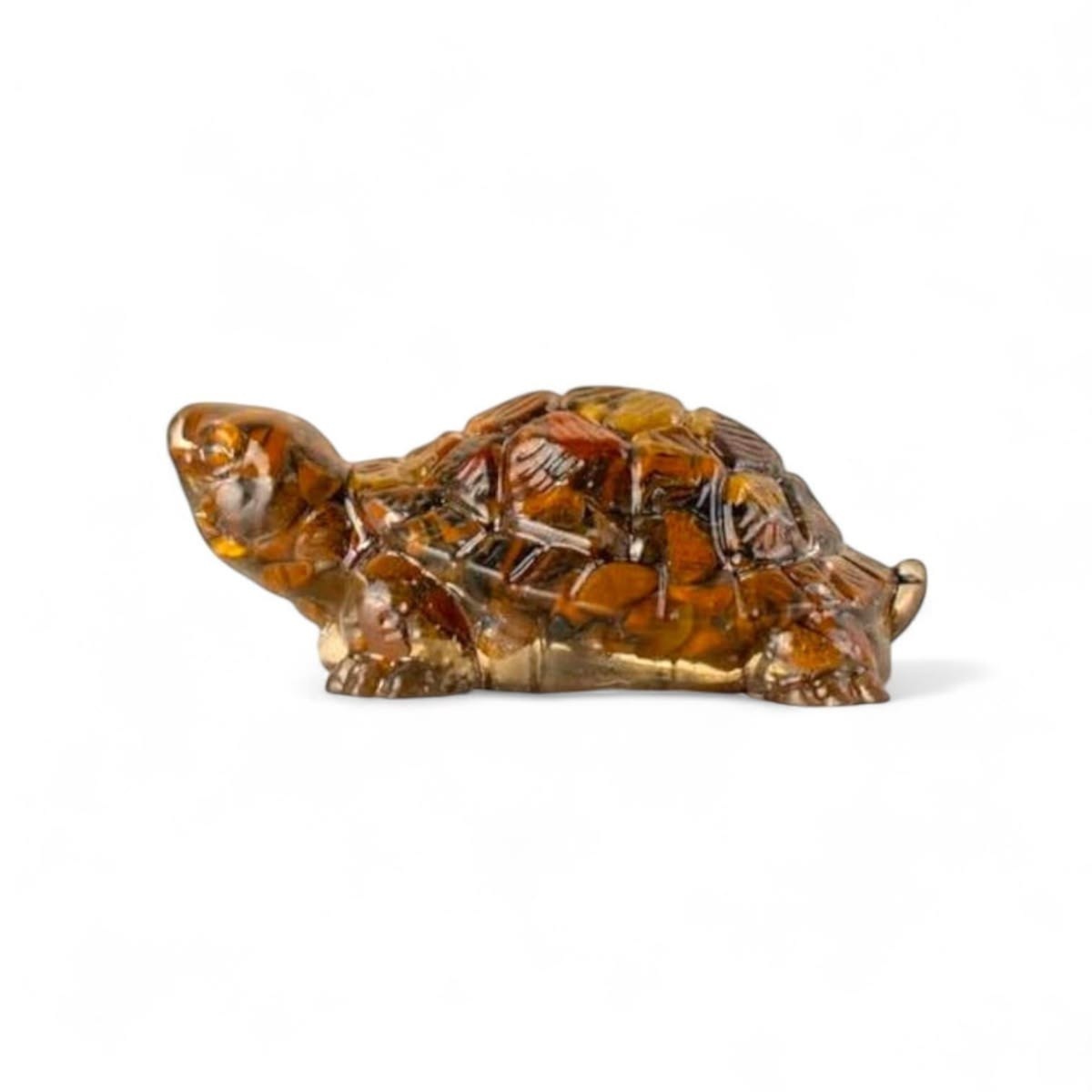 Tiger Eye Tortoise