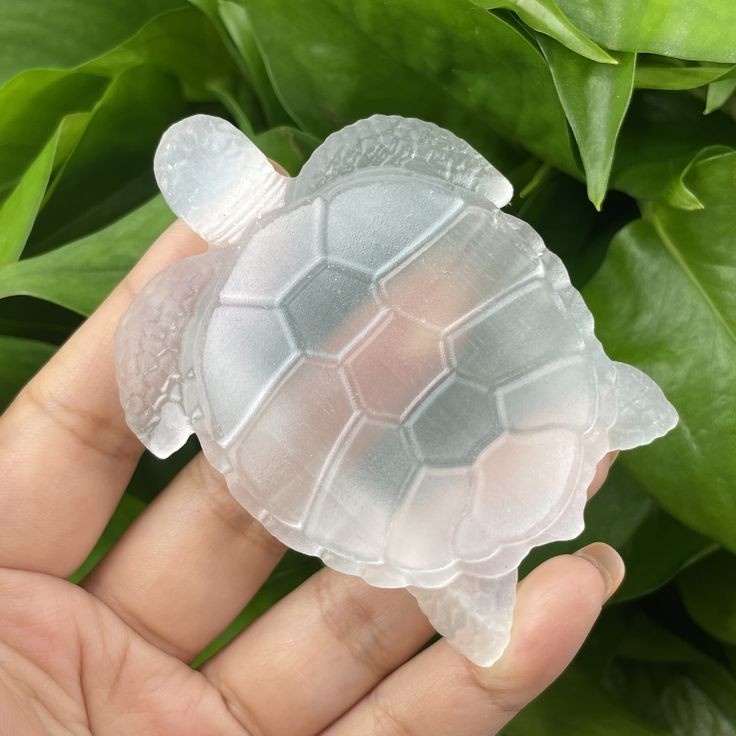 Selenite Tortoise